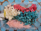 Assorted Dried Flower Box - Cutey K Blanks